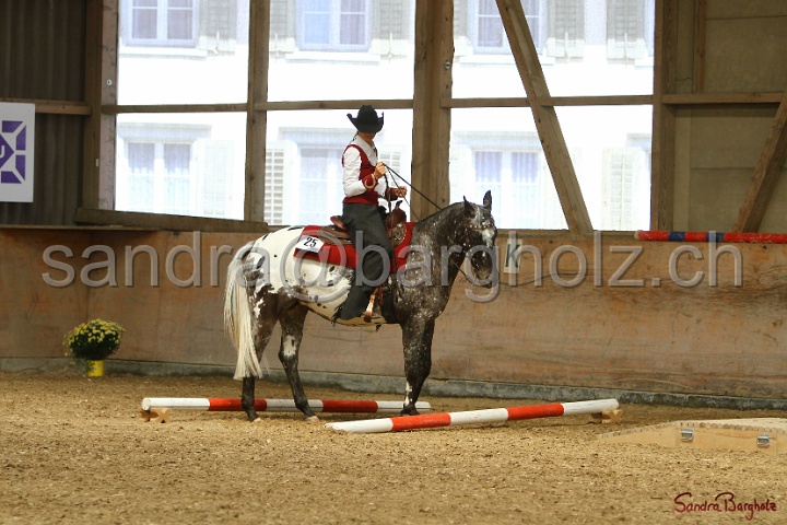 28-ApHC OT_285.jpg